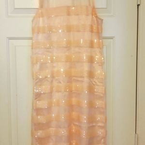 Anthro Minuet Pink Sequin Stripe Sheath Dress